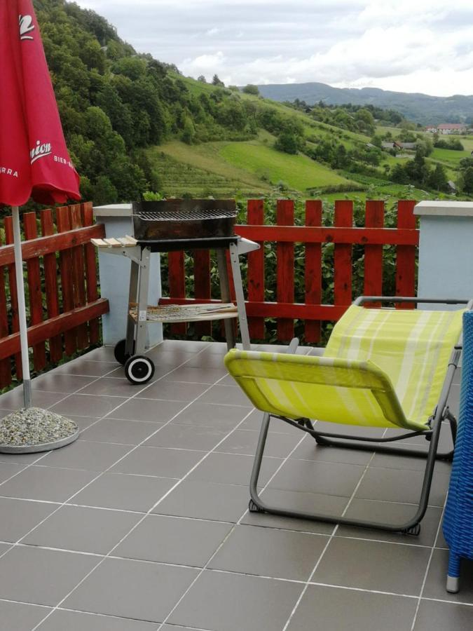 Villa Issy View House à Senovo Extérieur photo