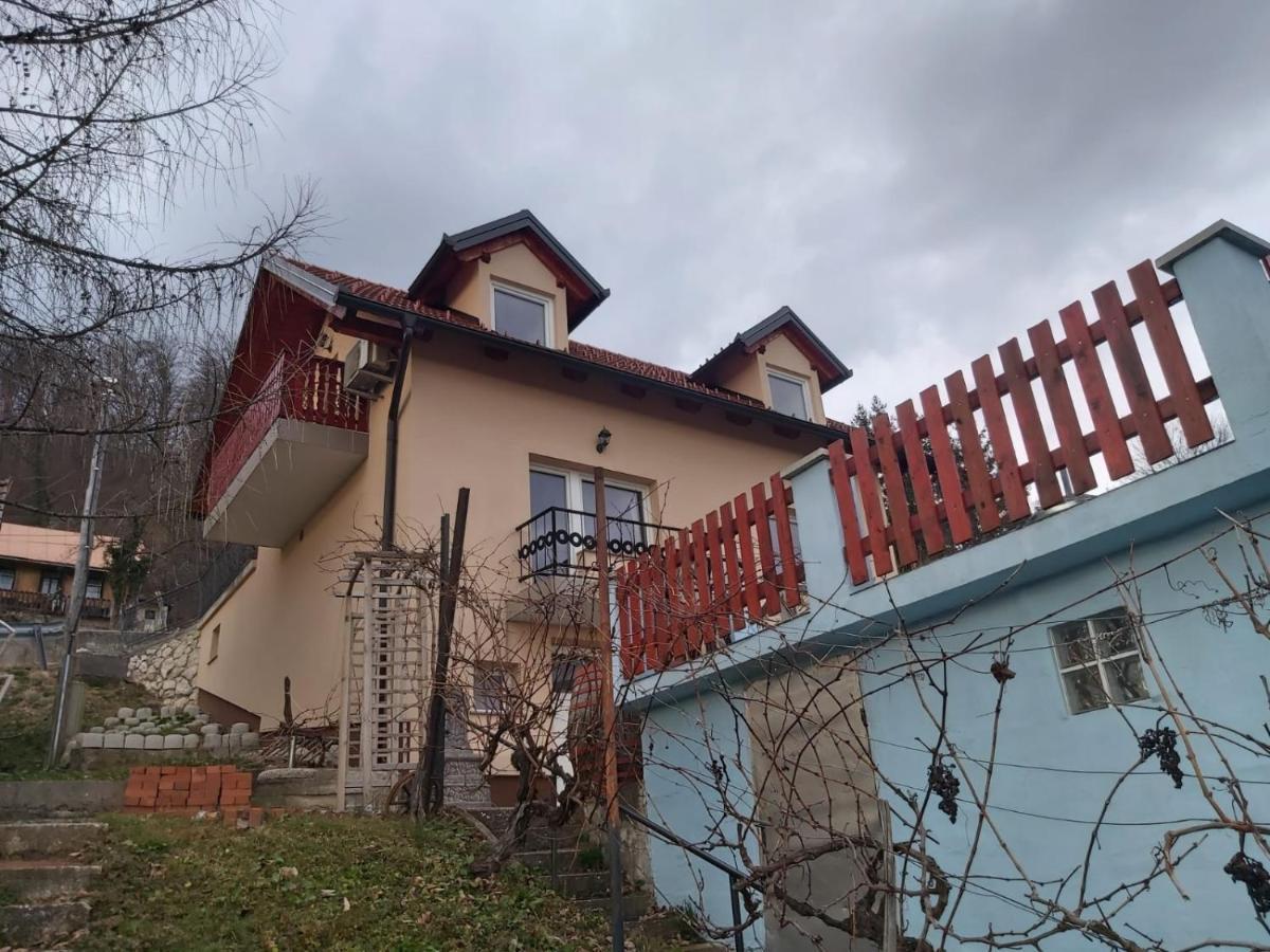 Villa Issy View House à Senovo Extérieur photo